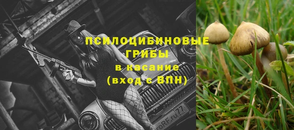 твердый Нефтегорск