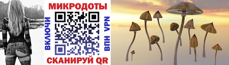 Псилоцибиновые грибы мухоморы  Ясногорск 